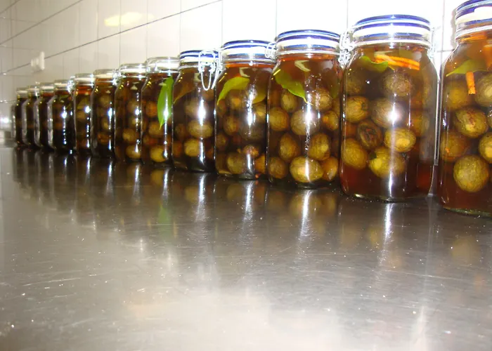 Hotel Restaurant Oolderhof Bv Herten